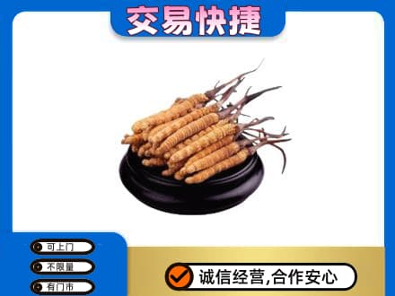 玉林礼品回收散虫草.jpg